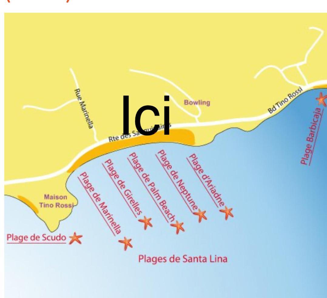 Superbe Pieds Dans L Eau Ajaccio Face A La Mer Plage De Sable Fin Route Des Iles Des Sanguinaires Exterior photo